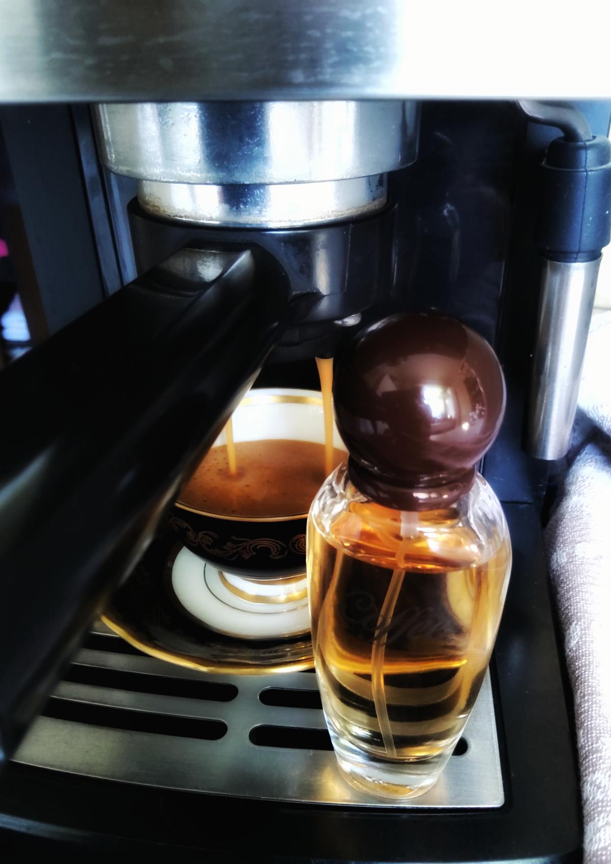 Coffee Sergio Nero perfume - a fragrance for women