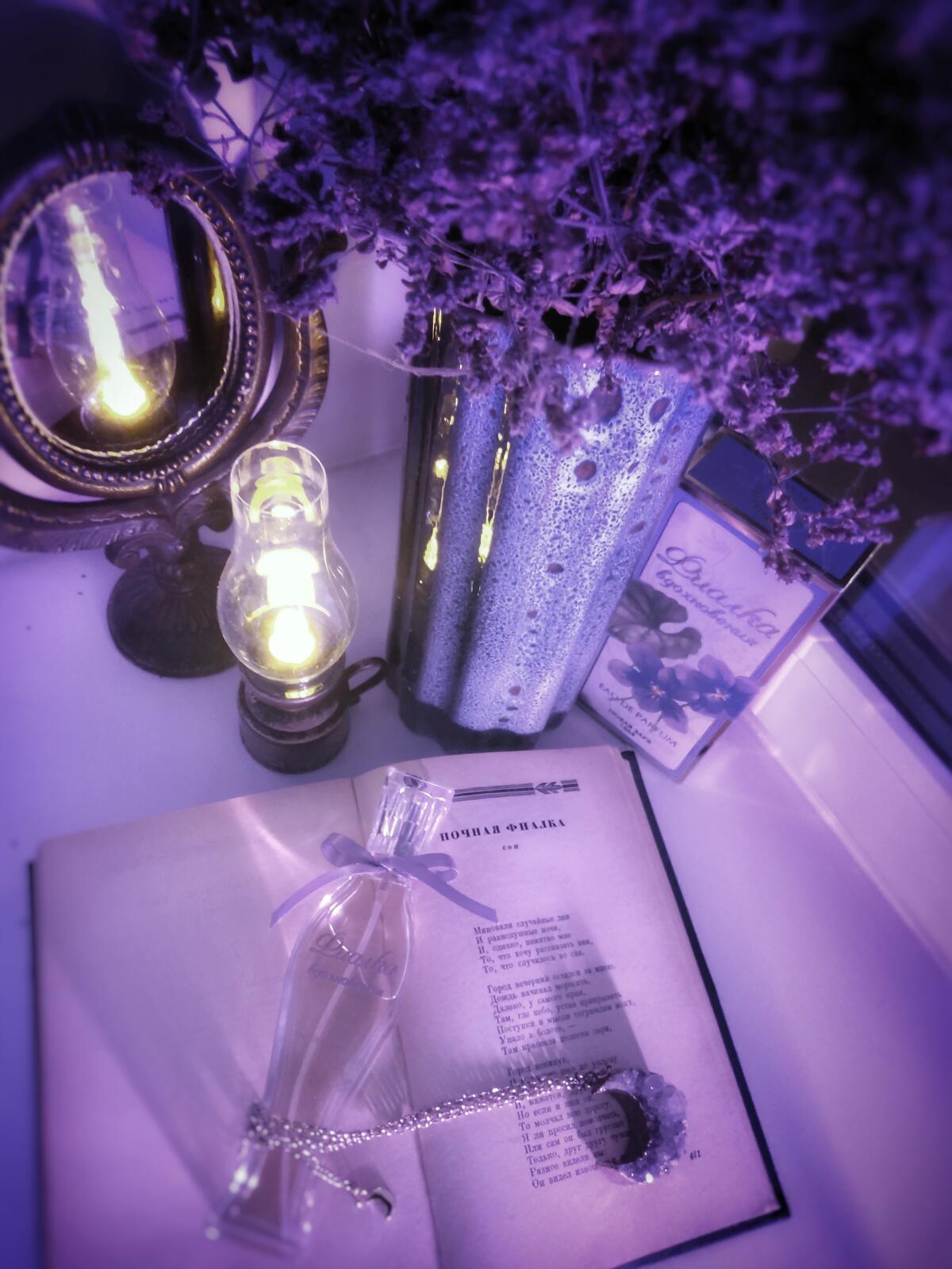 Фиалка вдохновения Новая Заря (The New Dawn) perfume - a new fragrance ...