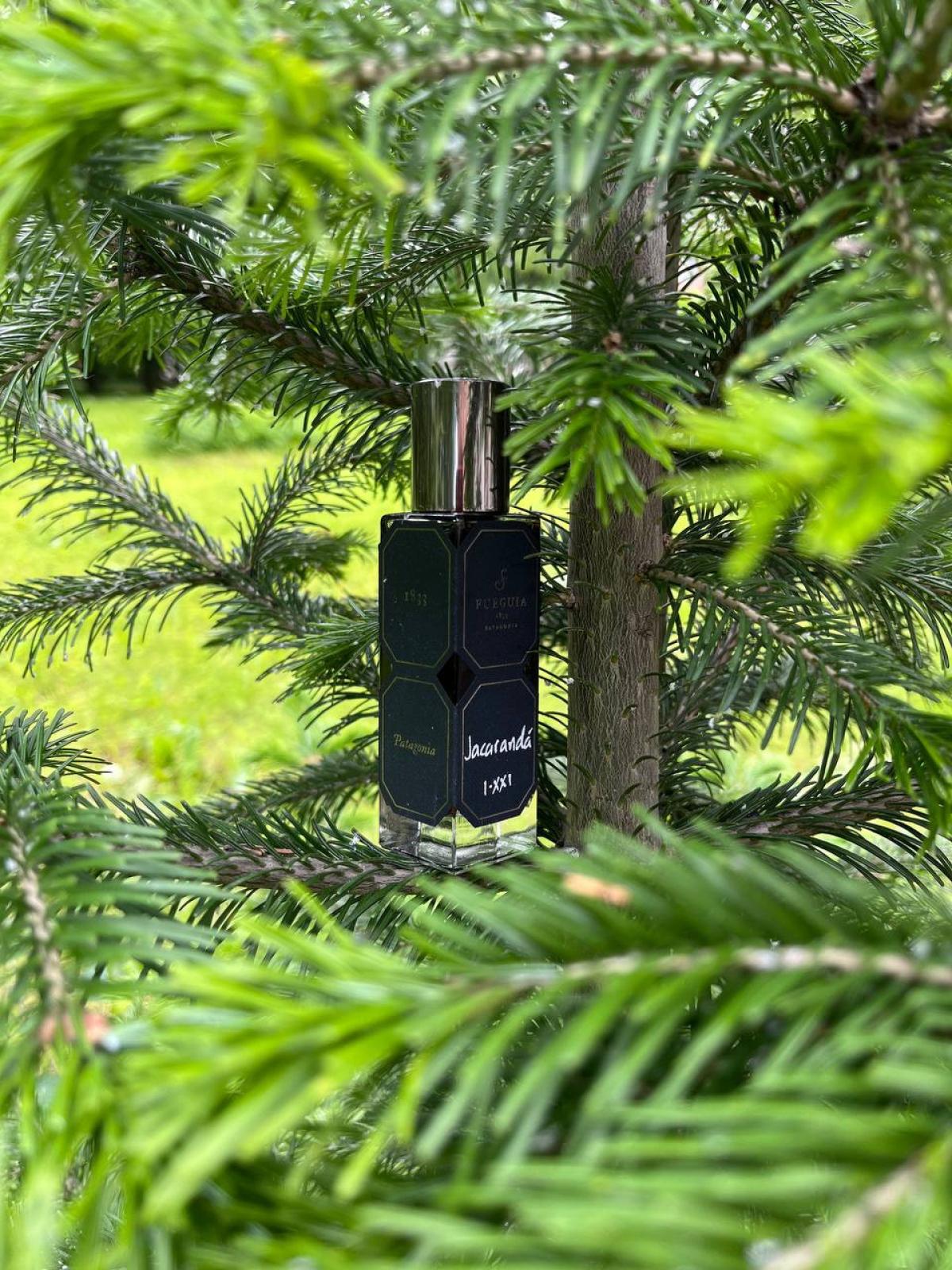 Jacarandá 2016 Edition Fueguia 1833 perfume a fragrance for women and