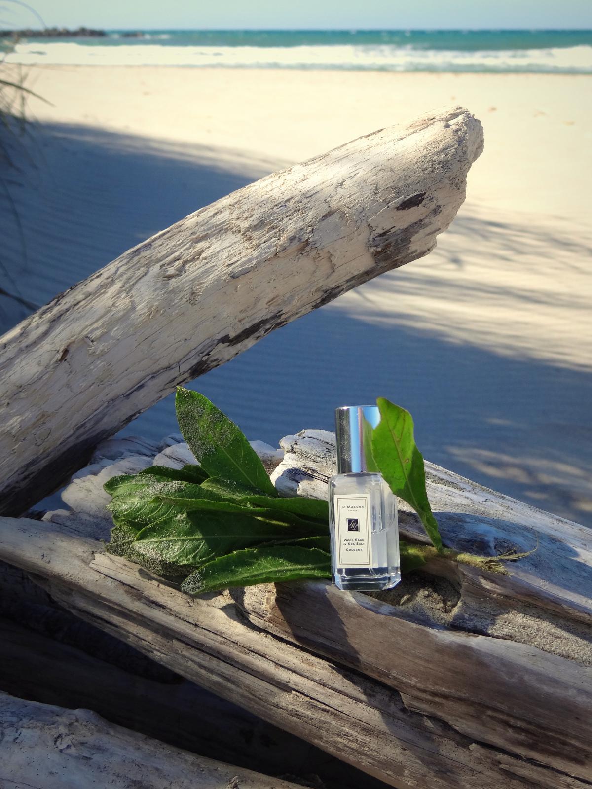 Wood Sage & Sea Salt Jo Malone London perfume - a fragrance for women ...
