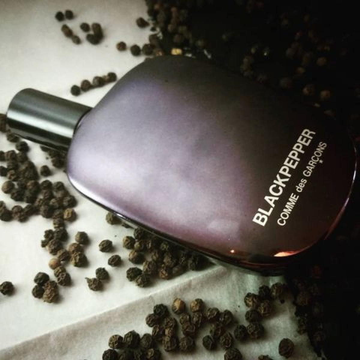 Blackpepper Comme des Garcons perfume - a fragrance for women and men 2016