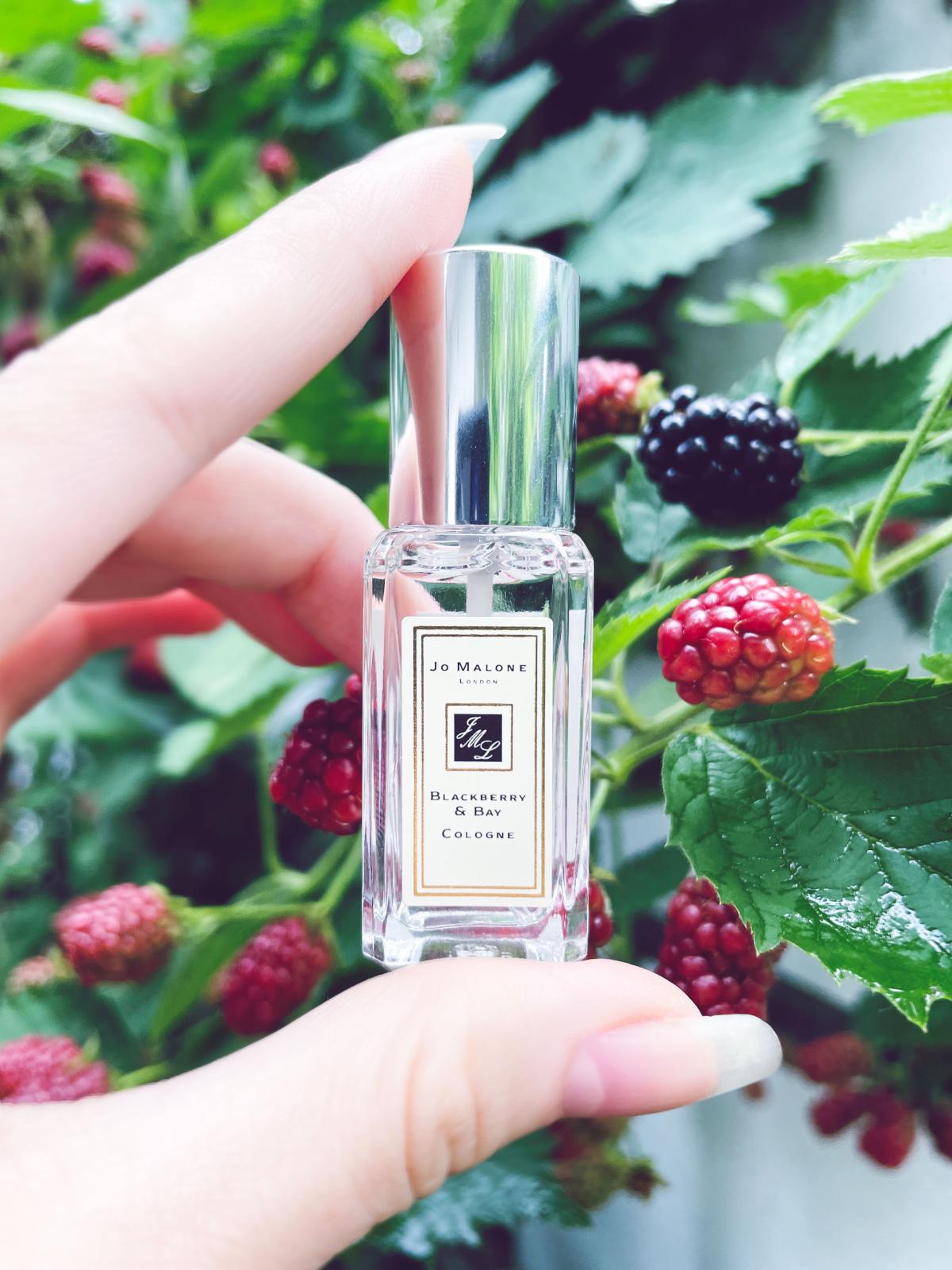 Blackberry & Bay Jo Malone London perfume - a fragrance for women 2012