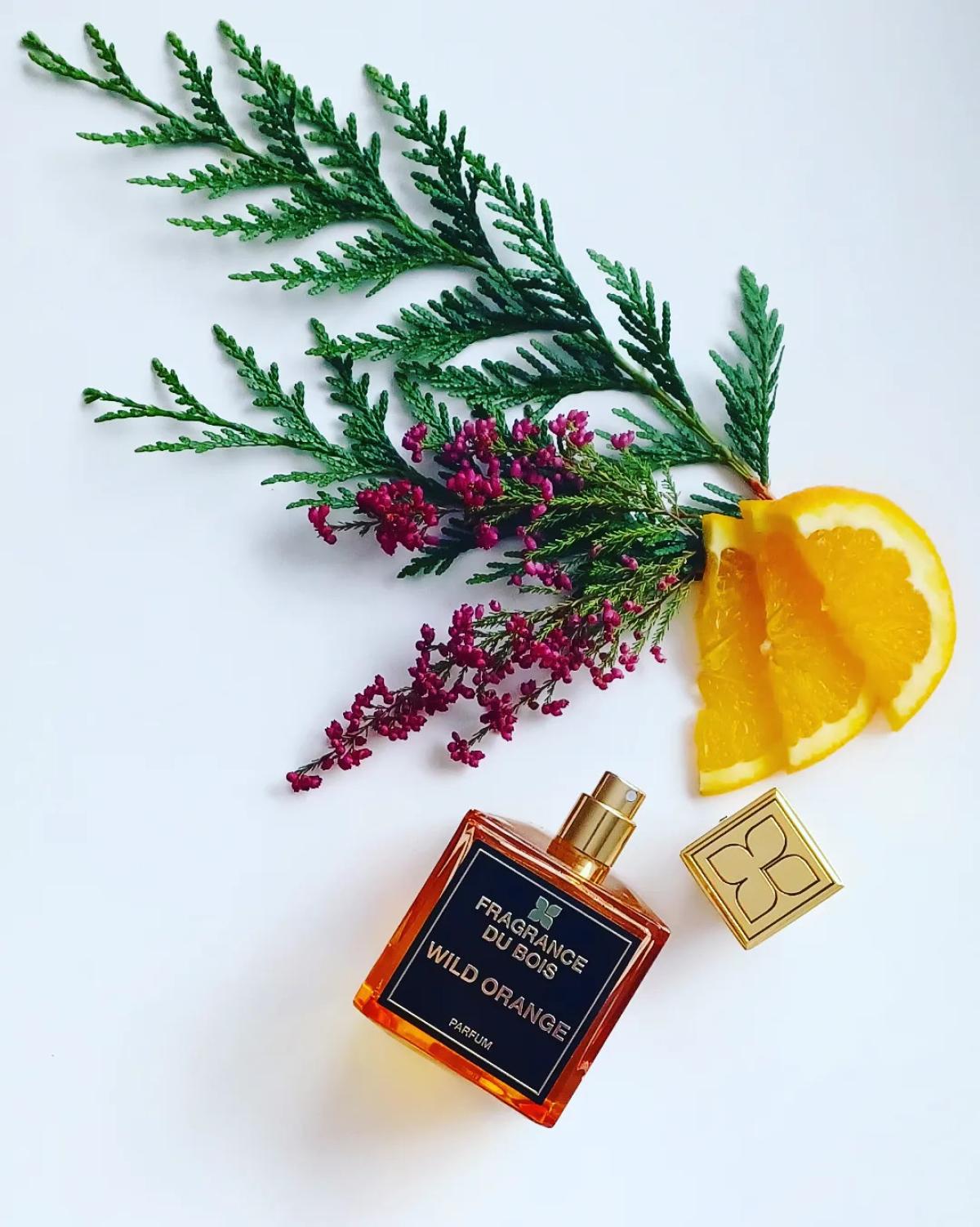 wild orange fragrance du bois