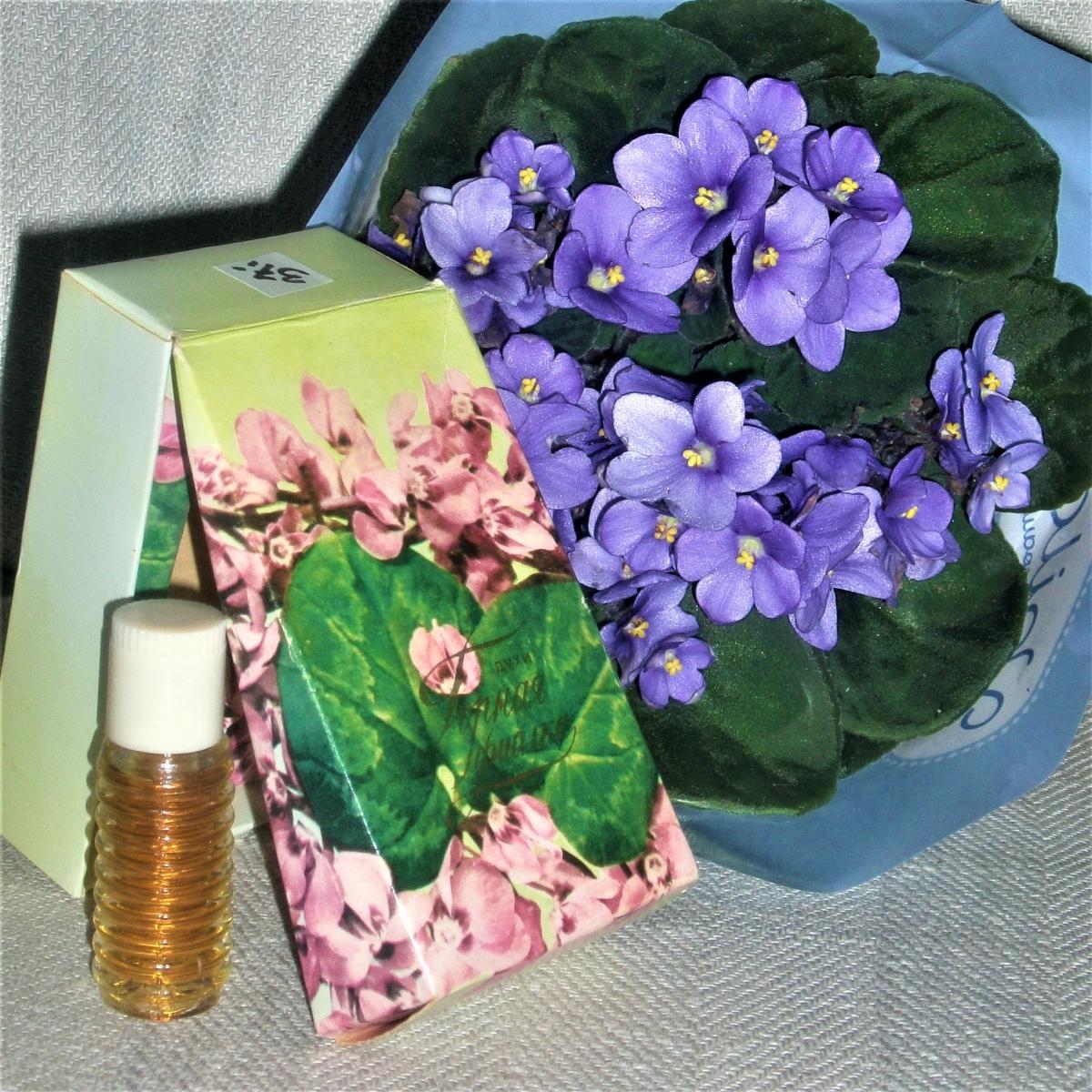 Горная фиалка (Mountain violet) Северное сияние аромат — аромат для женщин