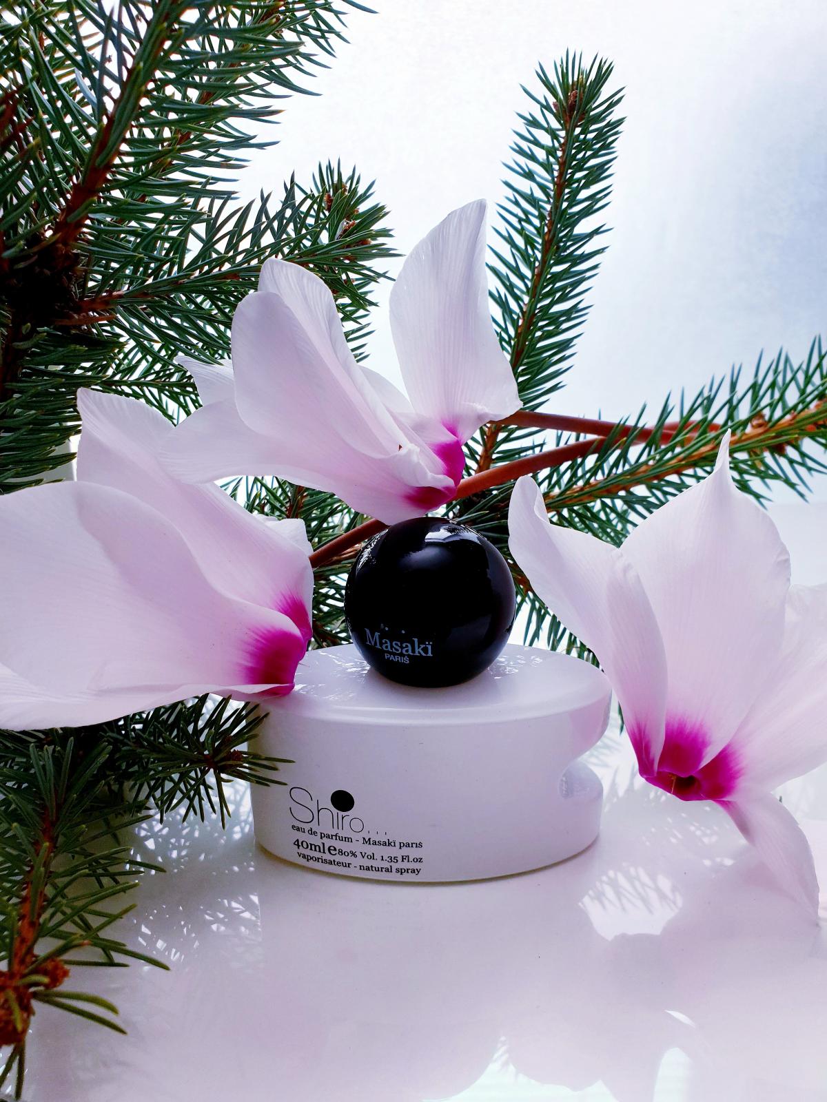 Masaki Shiro Masaki Matsushima perfume - a fragrance for women 2010