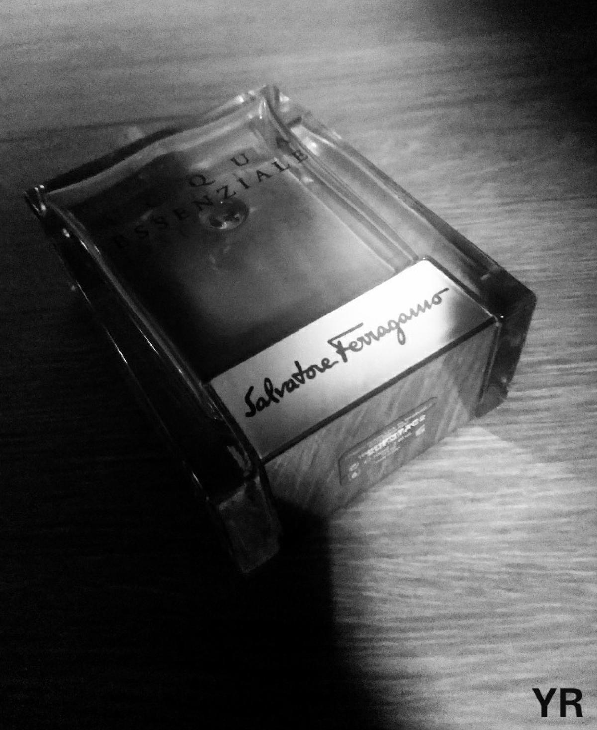 Acqua Essenziale Salvatore Ferragamo одеколон — аромат для мужчин 2013