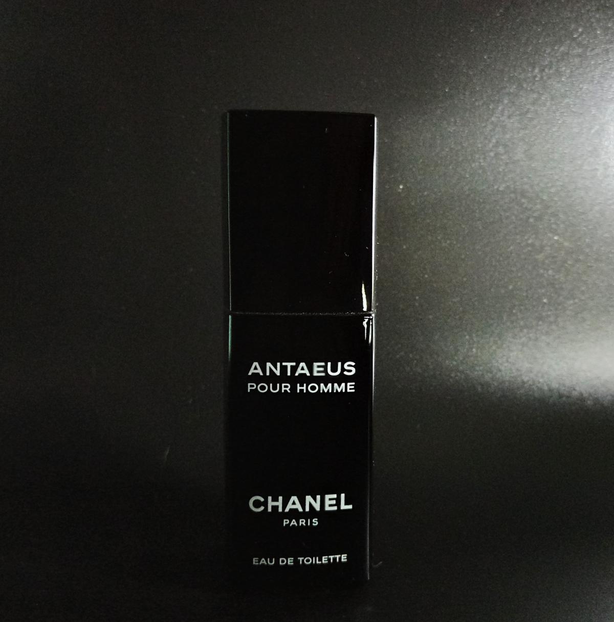 Antaeus Chanel cologne a fragrance for men 1981