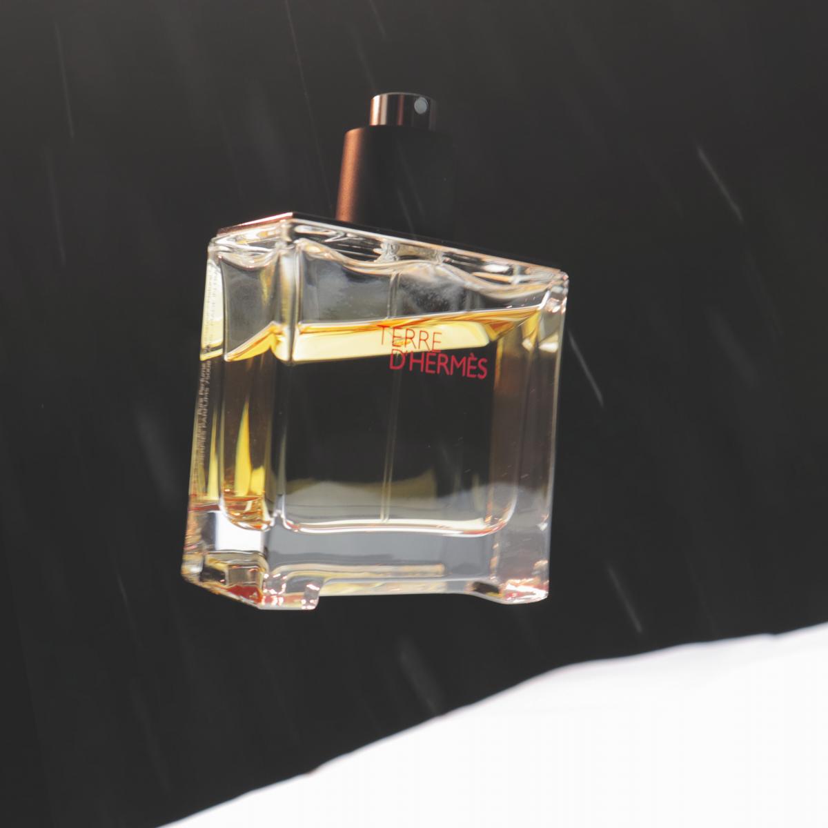 Terre d'Hermes Parfum Hermès cologne - a fragrance for men 2009