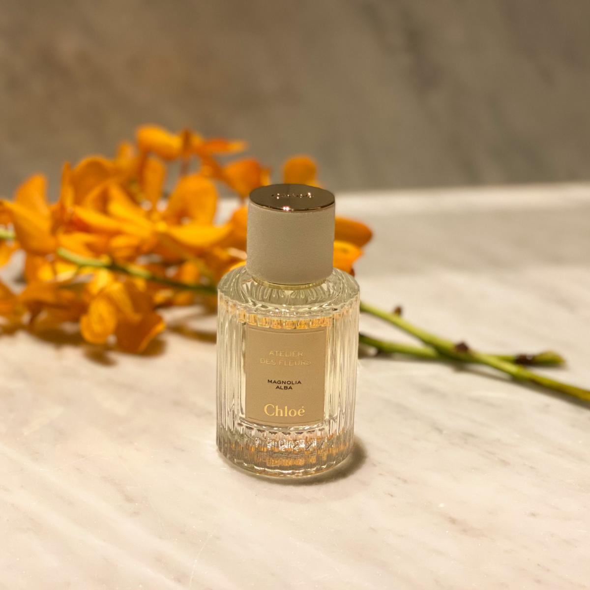 Magnolia Alba Chloé perfume - a fragrance for women 2019