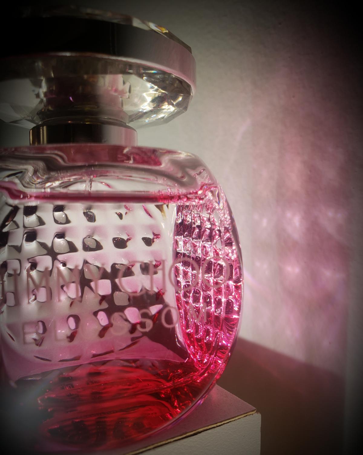 Jimmy Choo Blossom Jimmy Choo perfume - a fragrance for women 2015