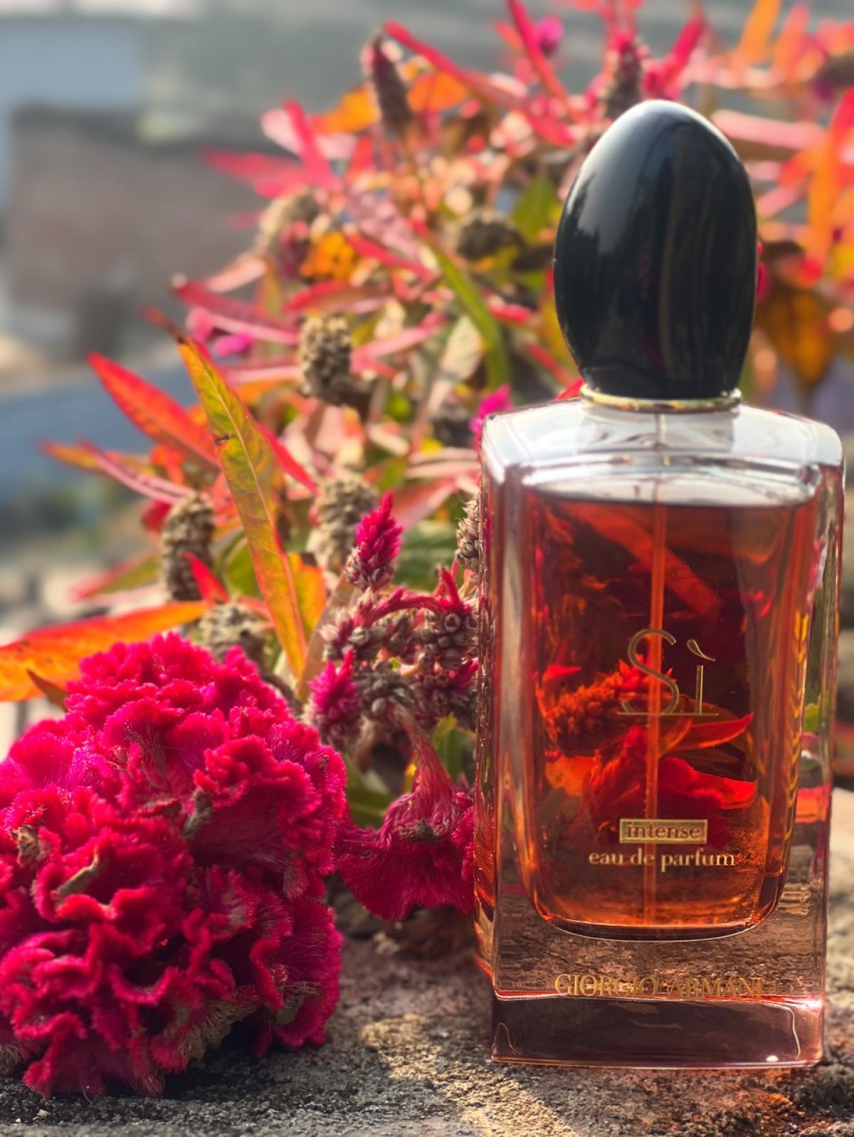 Sì Intense 2021 Giorgio Armani perfume - a fragrance for women 2021