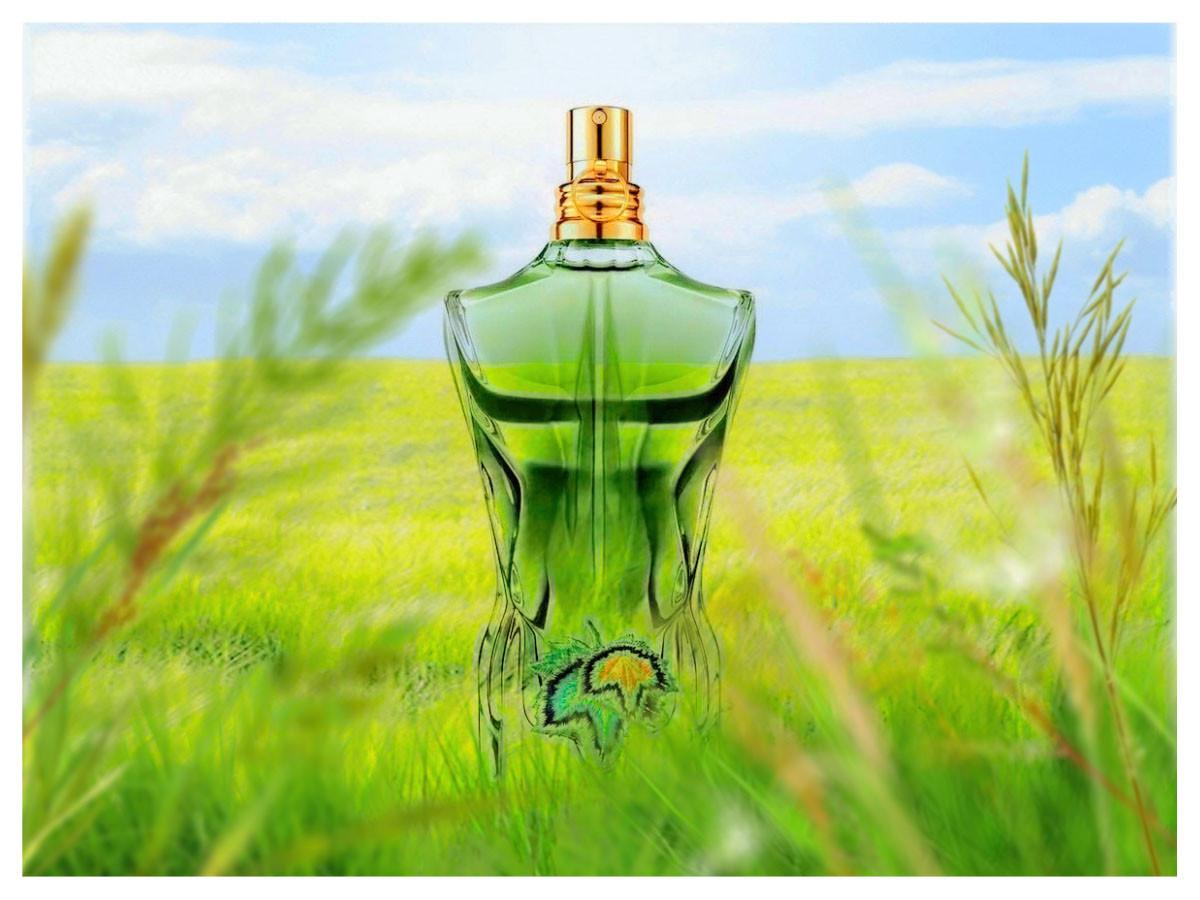 Le Beau Paradise Garden Jean Paul Gaultier cologne - a new fragrance ...