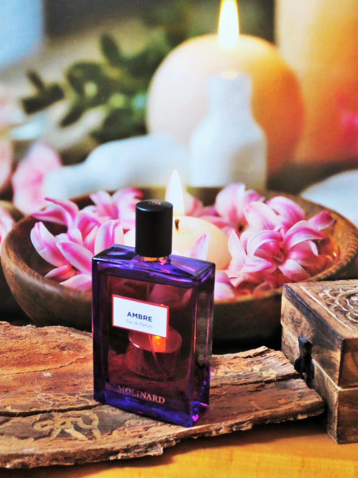 Ambre Eau de Parfum Molinard аромат — аромат для мужчин и женщин 2015