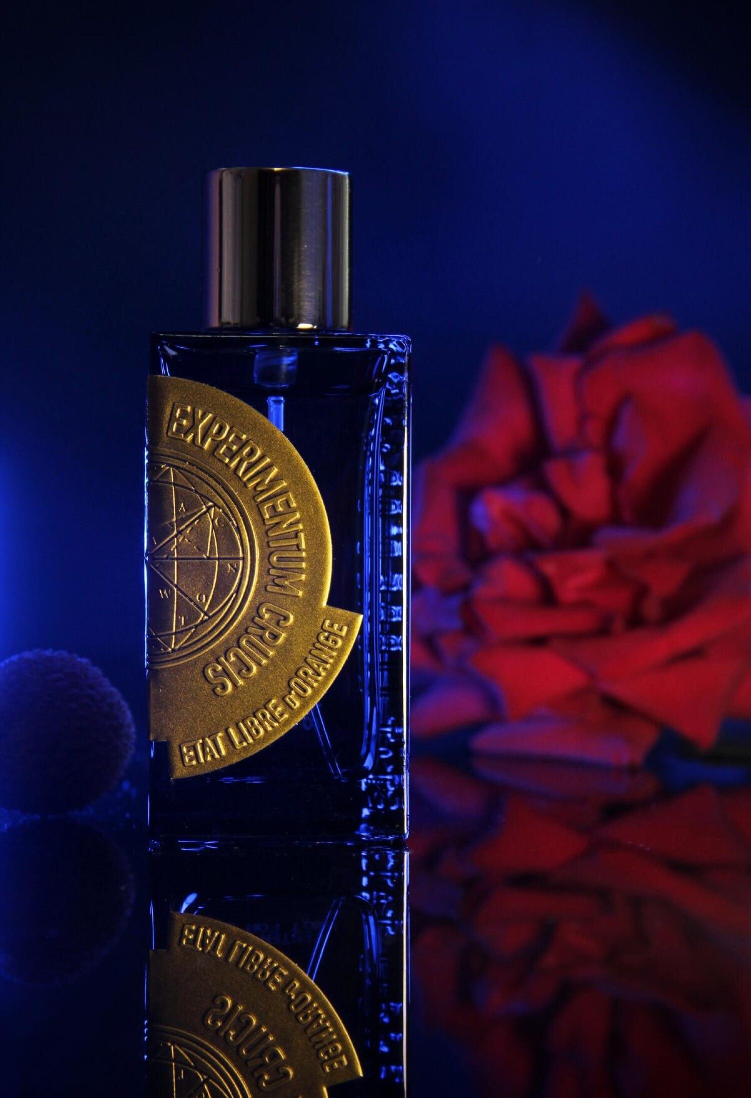 Ofelayndra on Fragram: #ЦветнойПонедельник — Experimentum Crucis Etat ...
