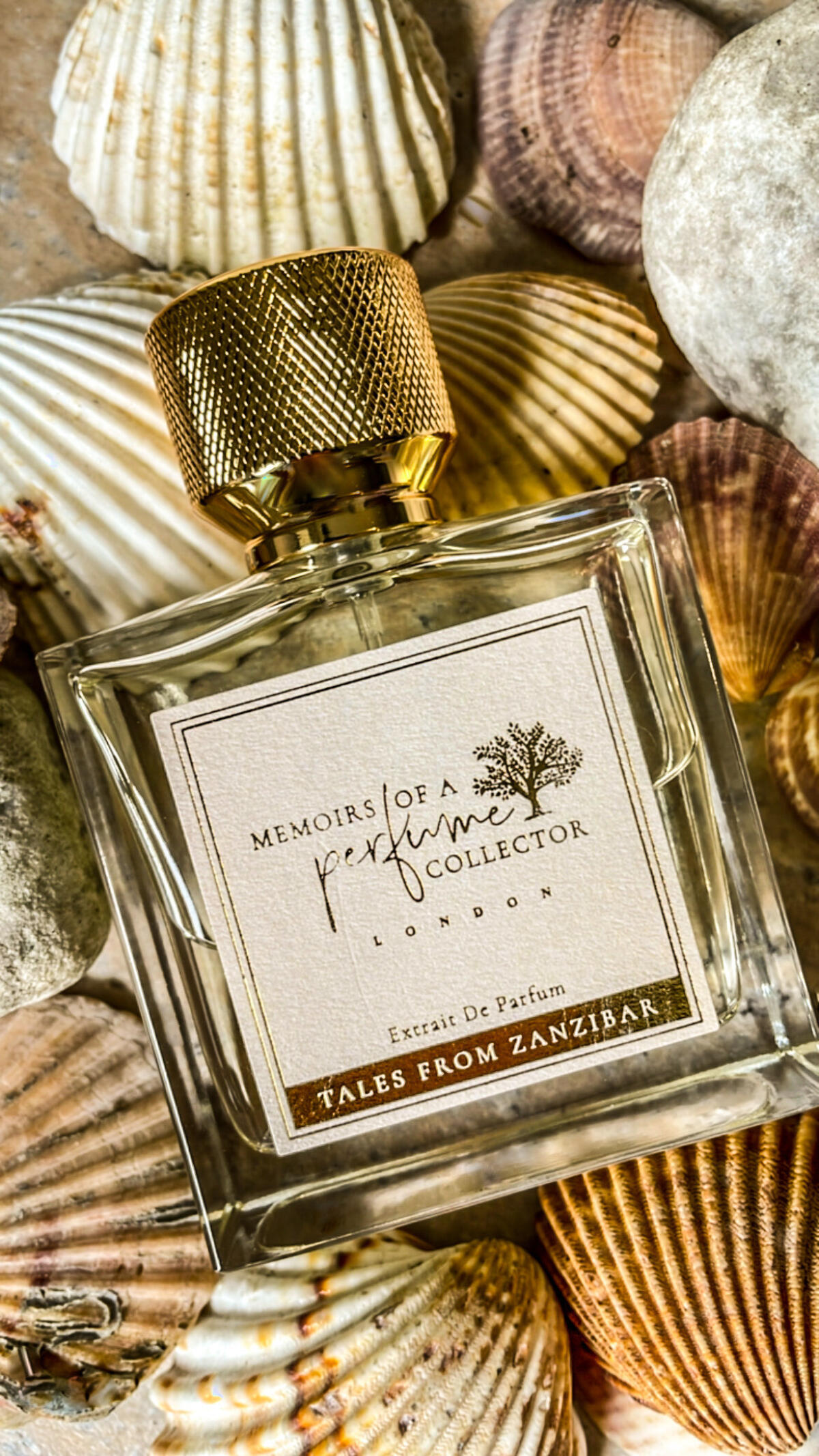 Tales from Zanzibar Memoirs Of A Perfume Collector perfume a fragrance for women and men 2021