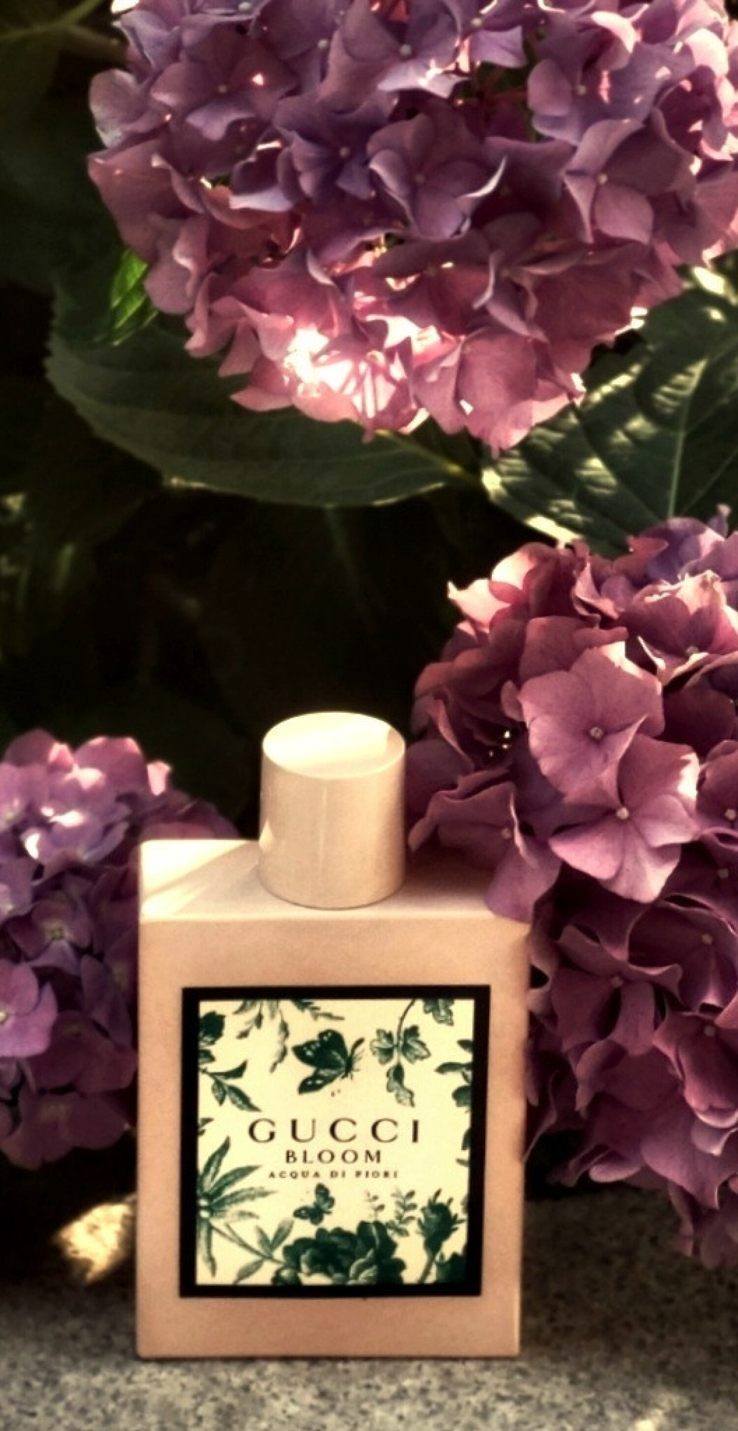 Gucci Bloom Acqua Di Fiori Perfume By Gucci for Women main image 1