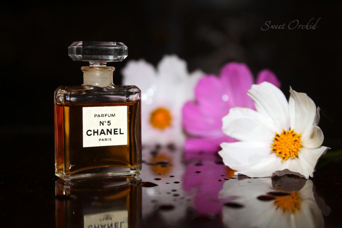 Ароматы шанель 5. Парфюм Шанель 5 1921. Духи Chanel Coco. Масляные духи Шанель 5. Секрет 5 духи.