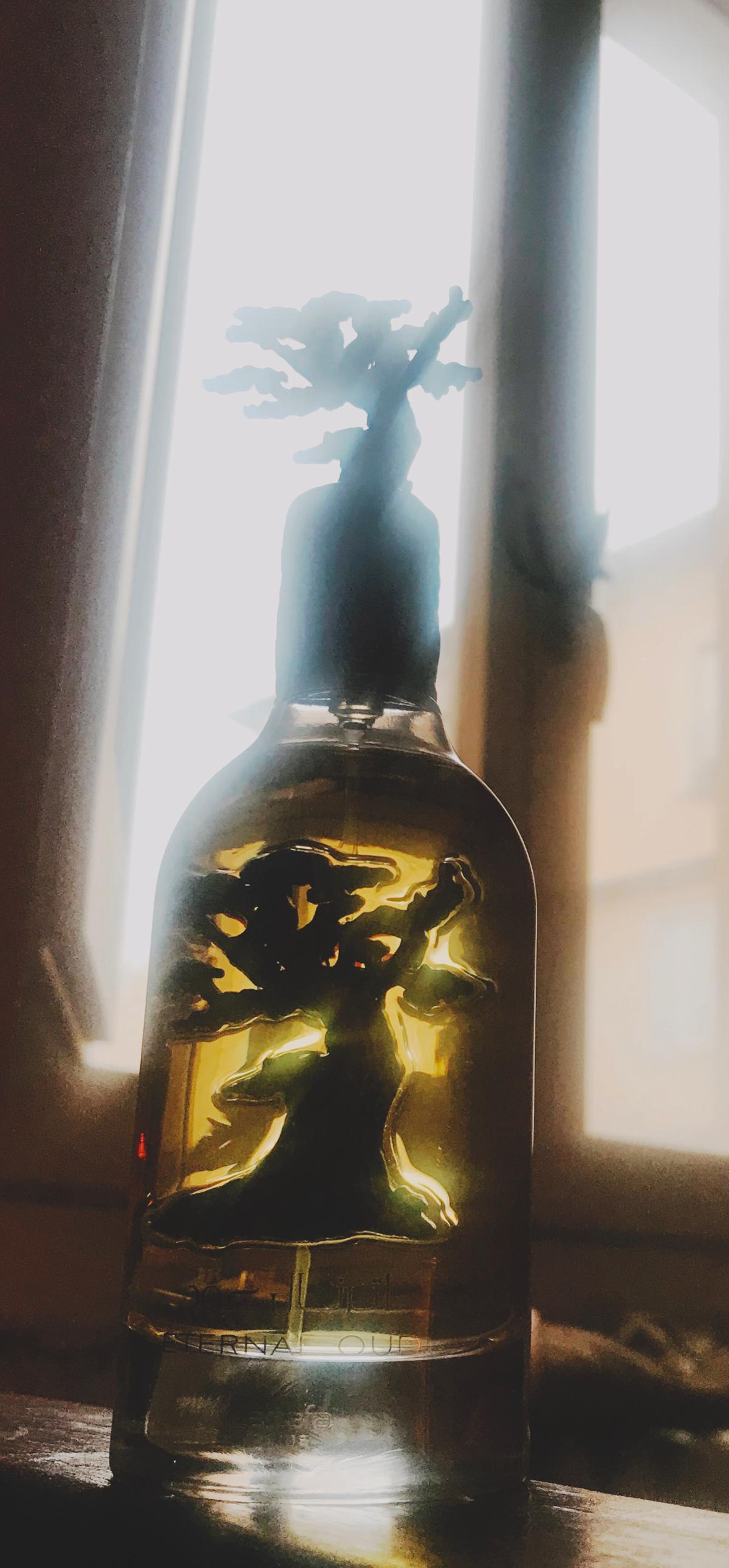 Eternal Oud Lattafa Perfumes perfume - a new fragrance for women and ...