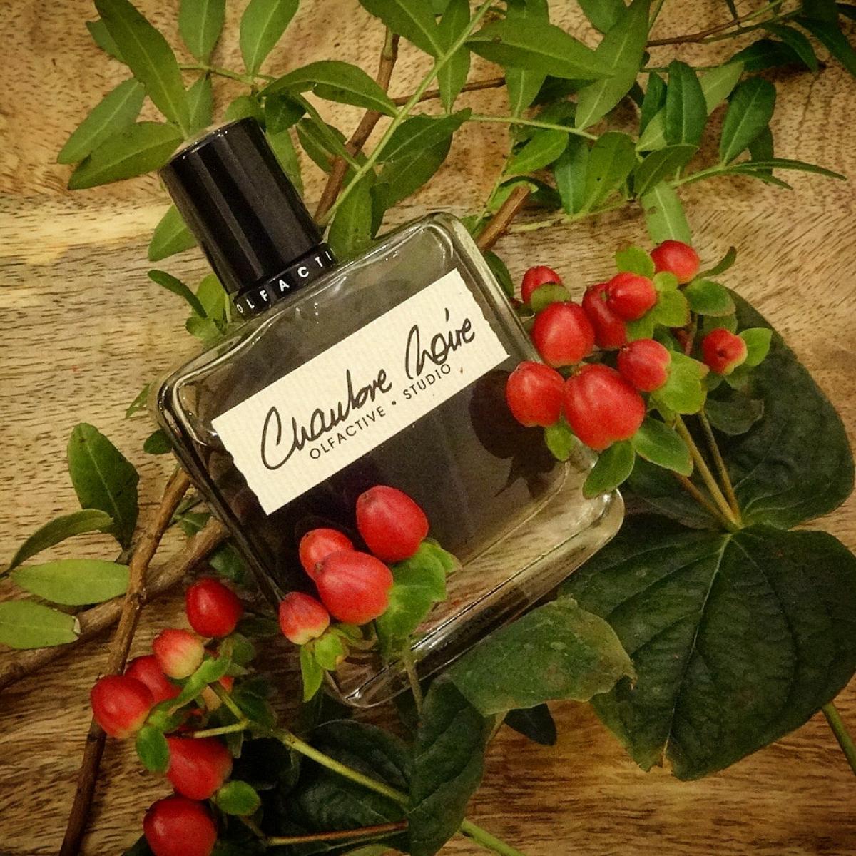 Chambre Noire Olfactive Studio perfume - a fragrance for women and men 2011