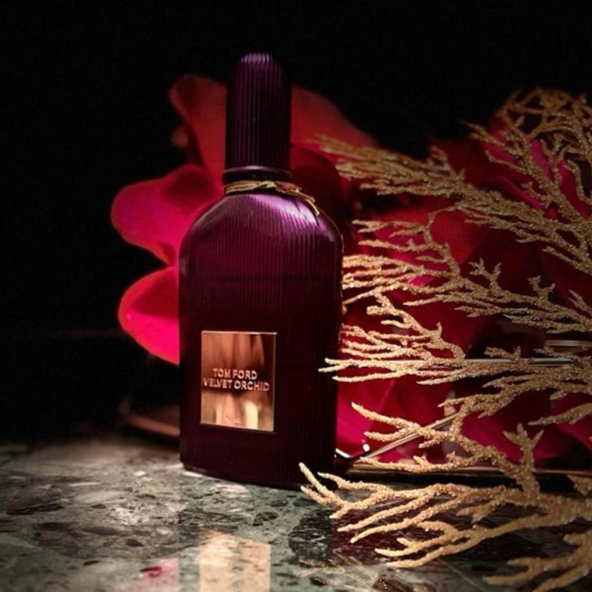 Velvet Orchid Tom Ford perfume - a fragrance for women 2014