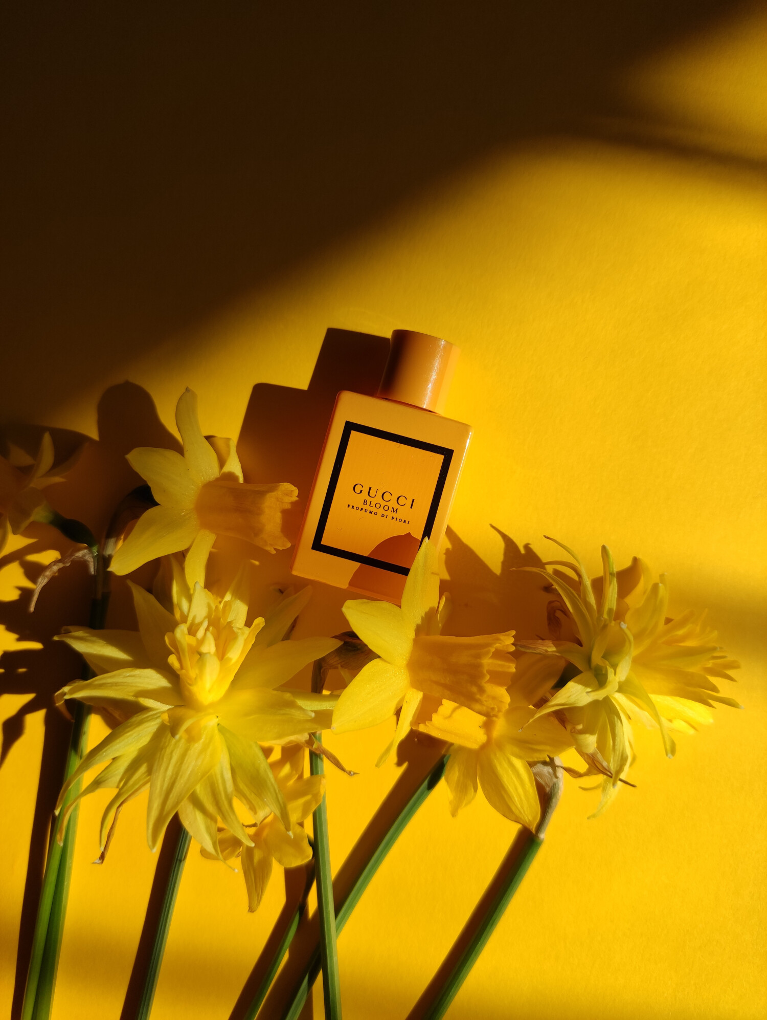 gucci bloom profumo di fiori