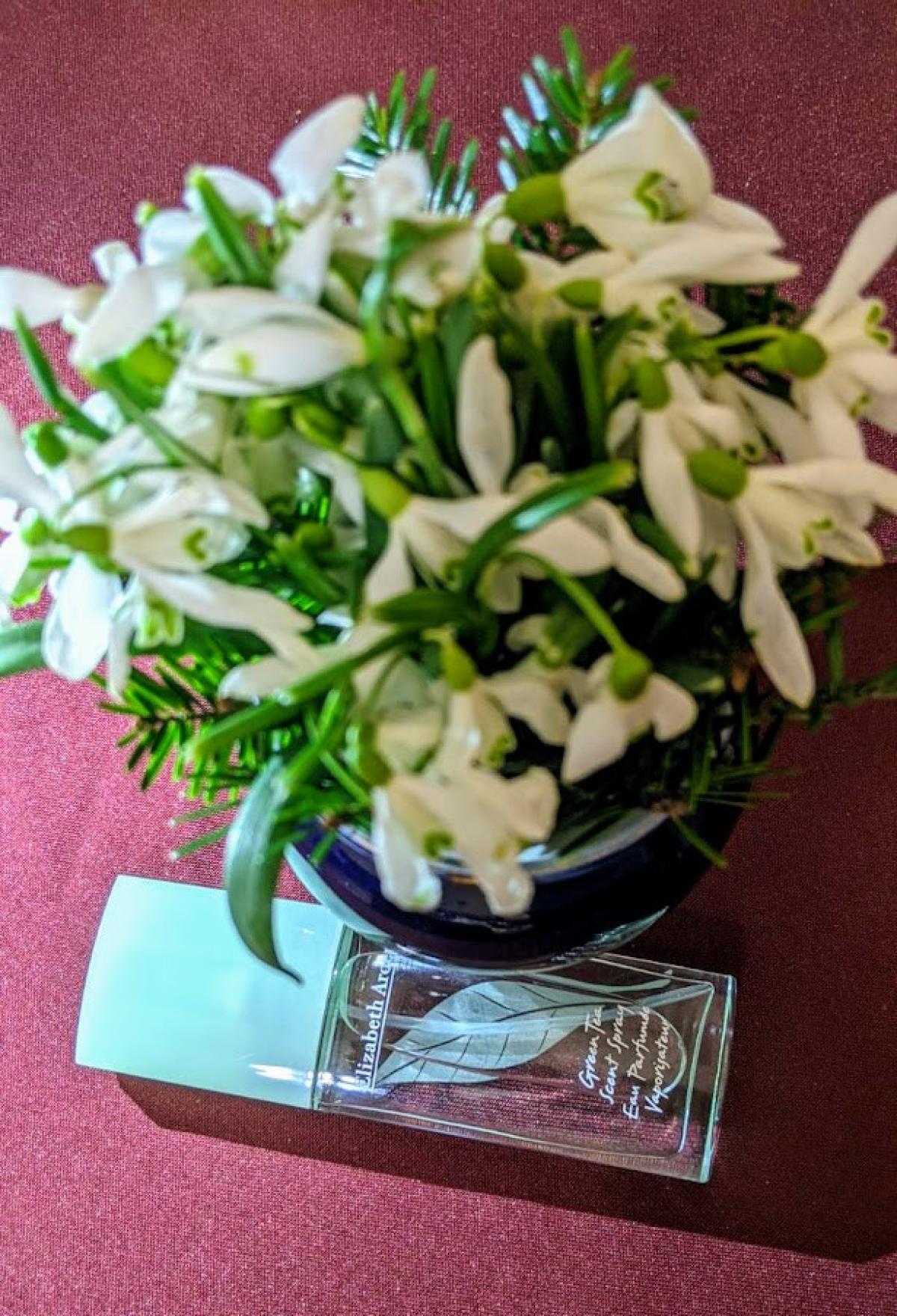 Green Tea Elizabeth Arden аромат — аромат для женщин 1999