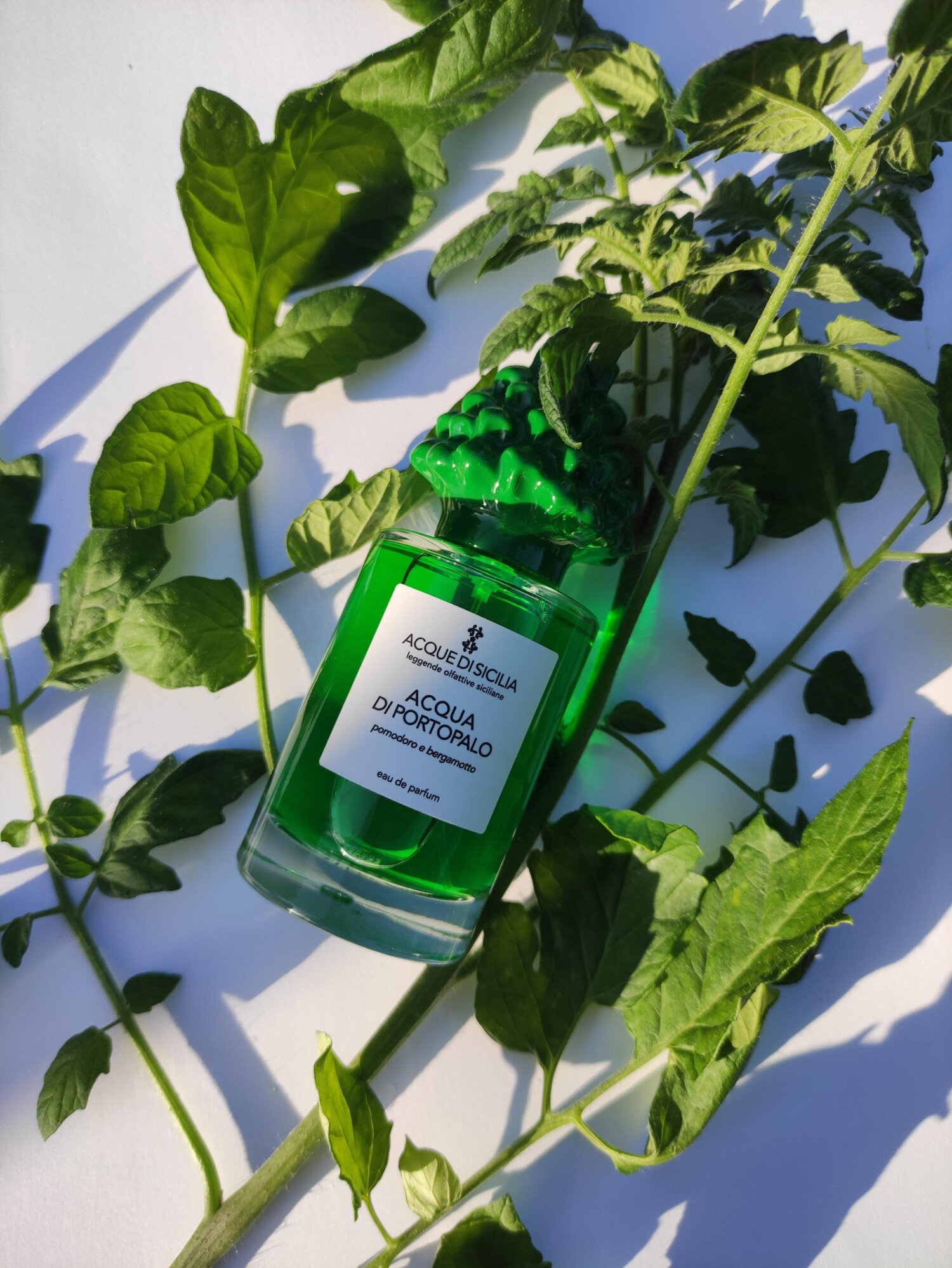 Acqua di Portopalo Pomodoro e Bergamotto Sikelia 香水 - 2026年の