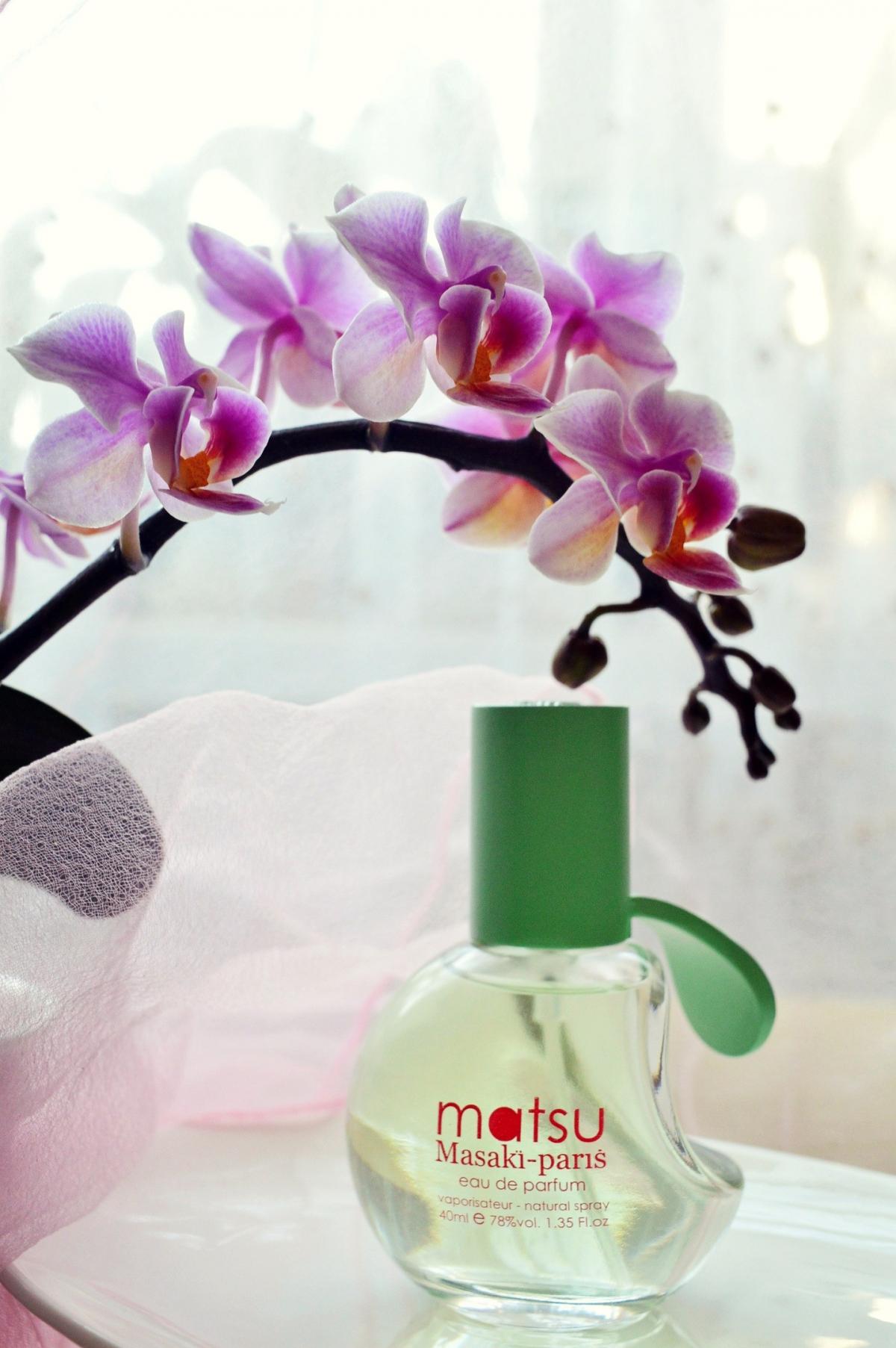 Matsu Masaki Matsushima perfume - a fragrance for women 2014