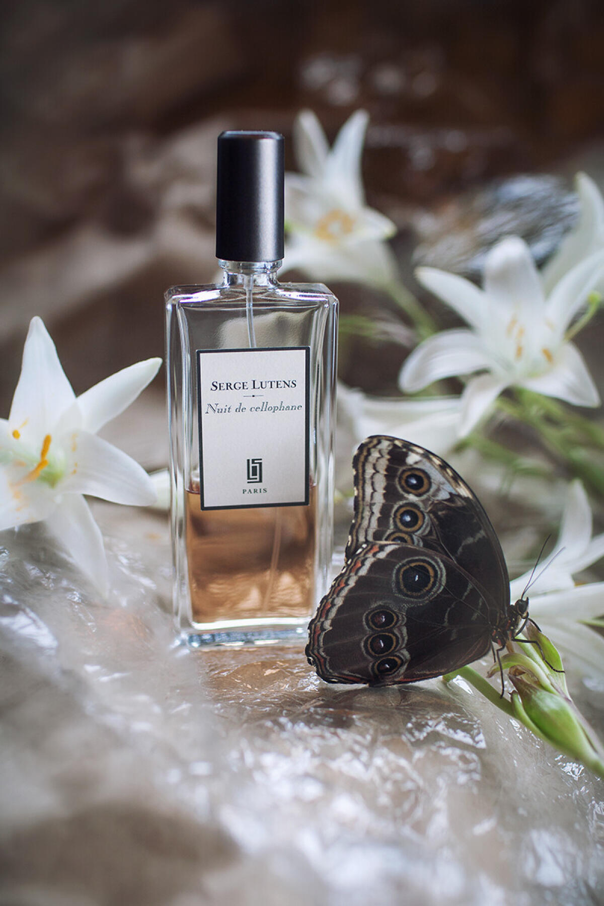 Amazon.com : Serge Lutens Nuit de Cellophane Eau de Parfum