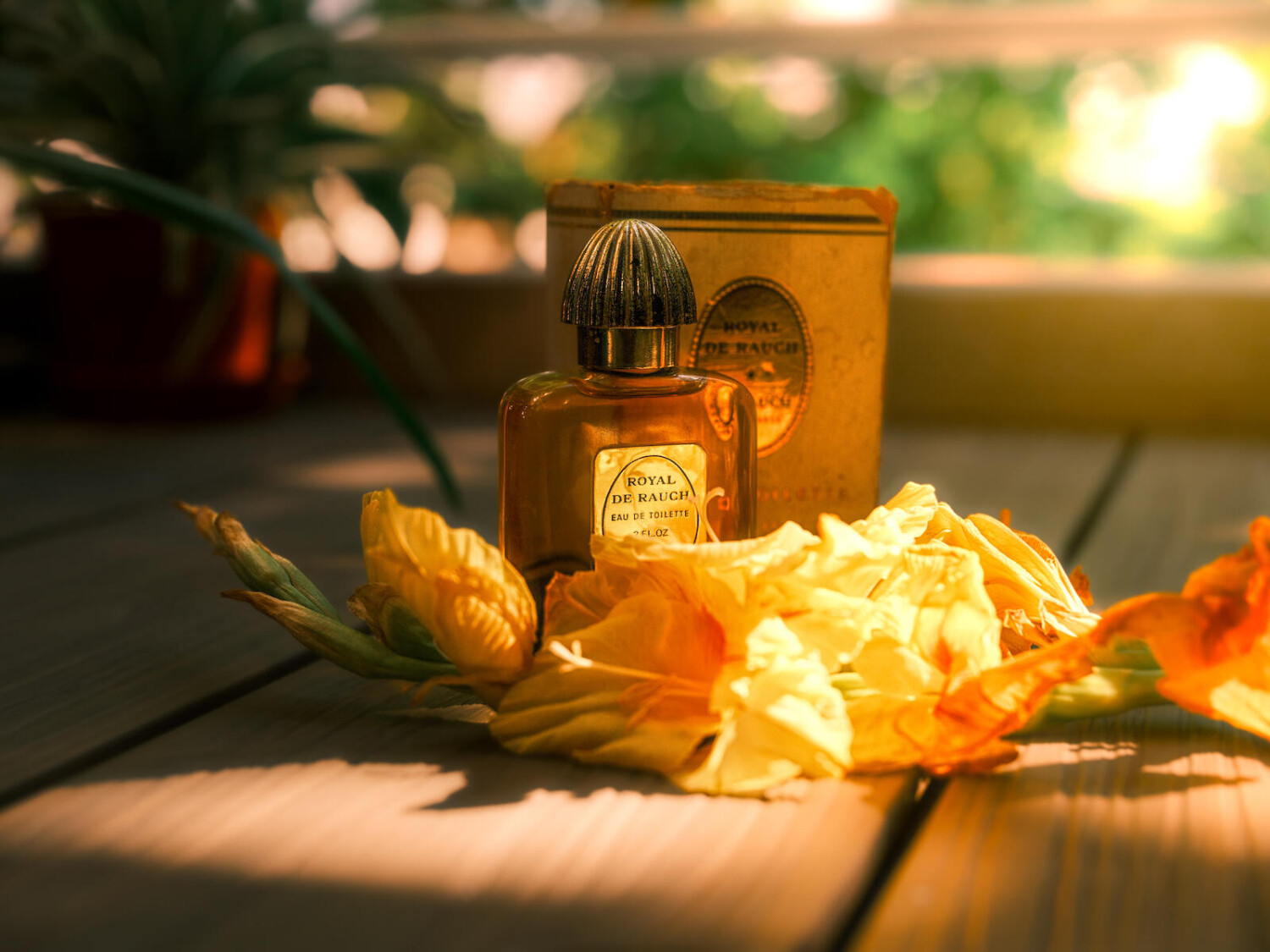 Royal De Rauch De Rauch perfume - a fragrance for women 1973