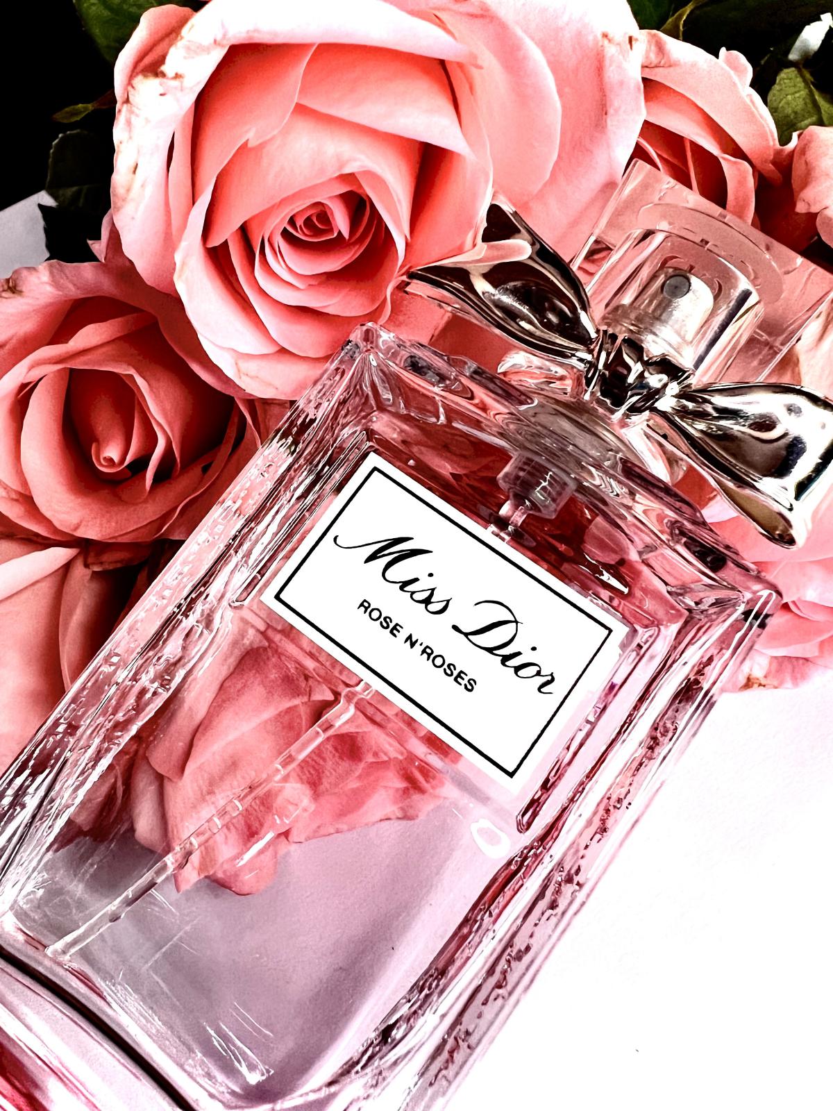 Miss Dior Rose N'Roses Dior perfume - a fragrance for women 2020