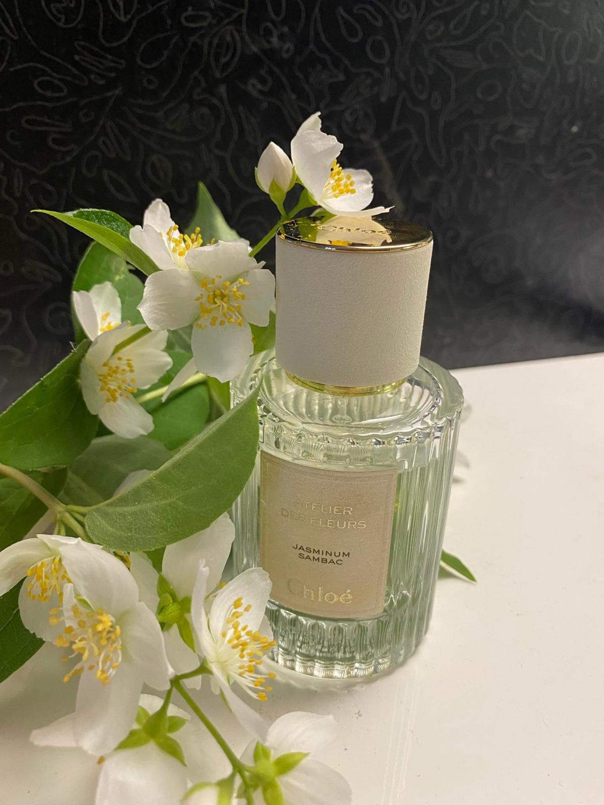 Jasminum Sambac Chloé perfume - a fragrance for women 2019