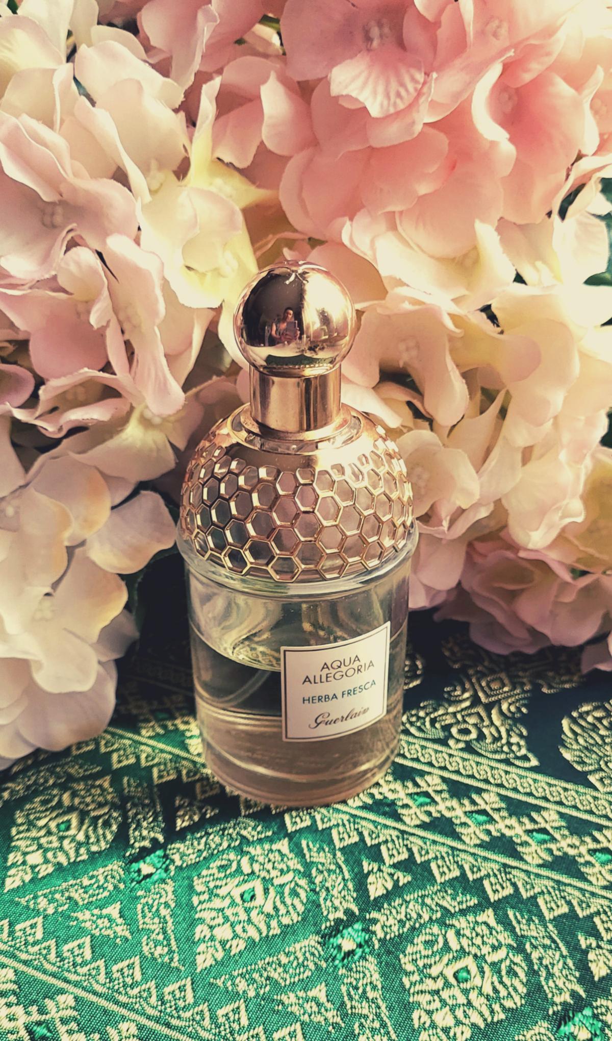 Aqua Allegoria Herba Fresca Guerlain perfume - a fragrance for women ...