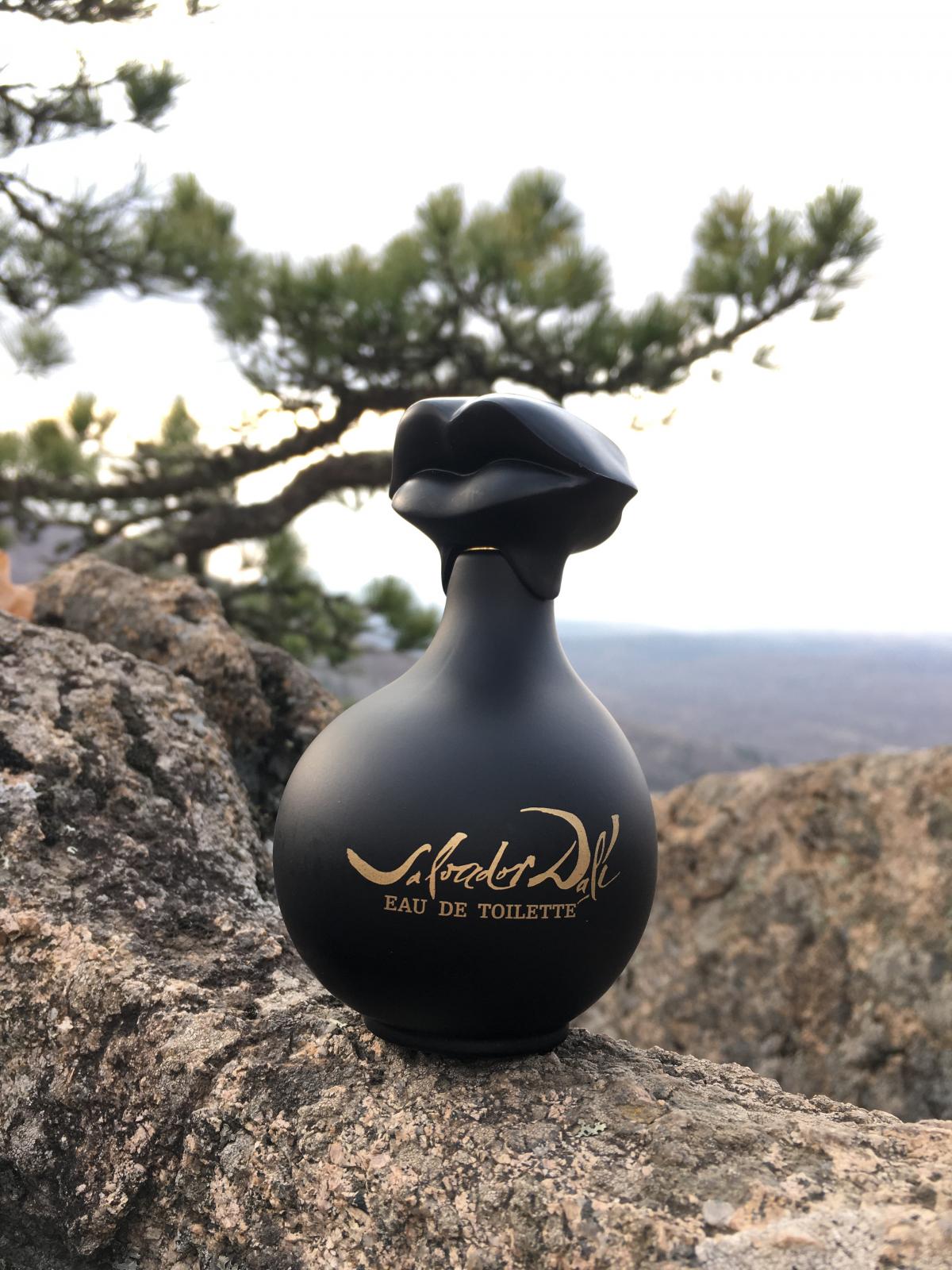 Salvador Dali Pour Homme Salvador Dali cologne - a fragrance for men 1987