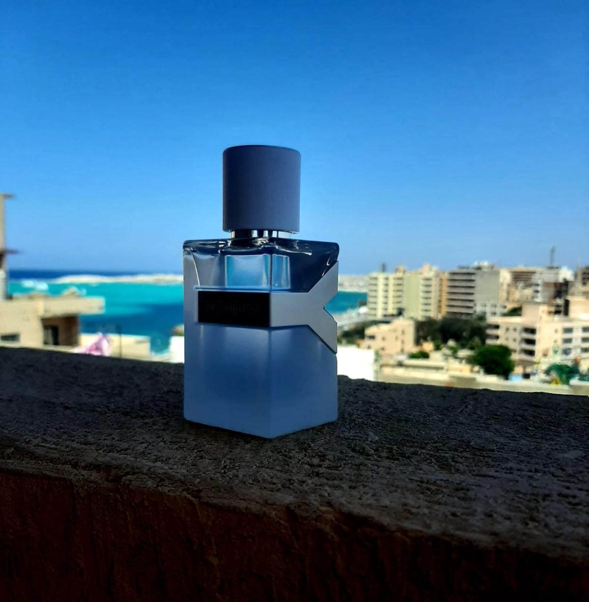 Y Eau Fraiche Yves Saint Laurent cologne a fragrance for men 2020