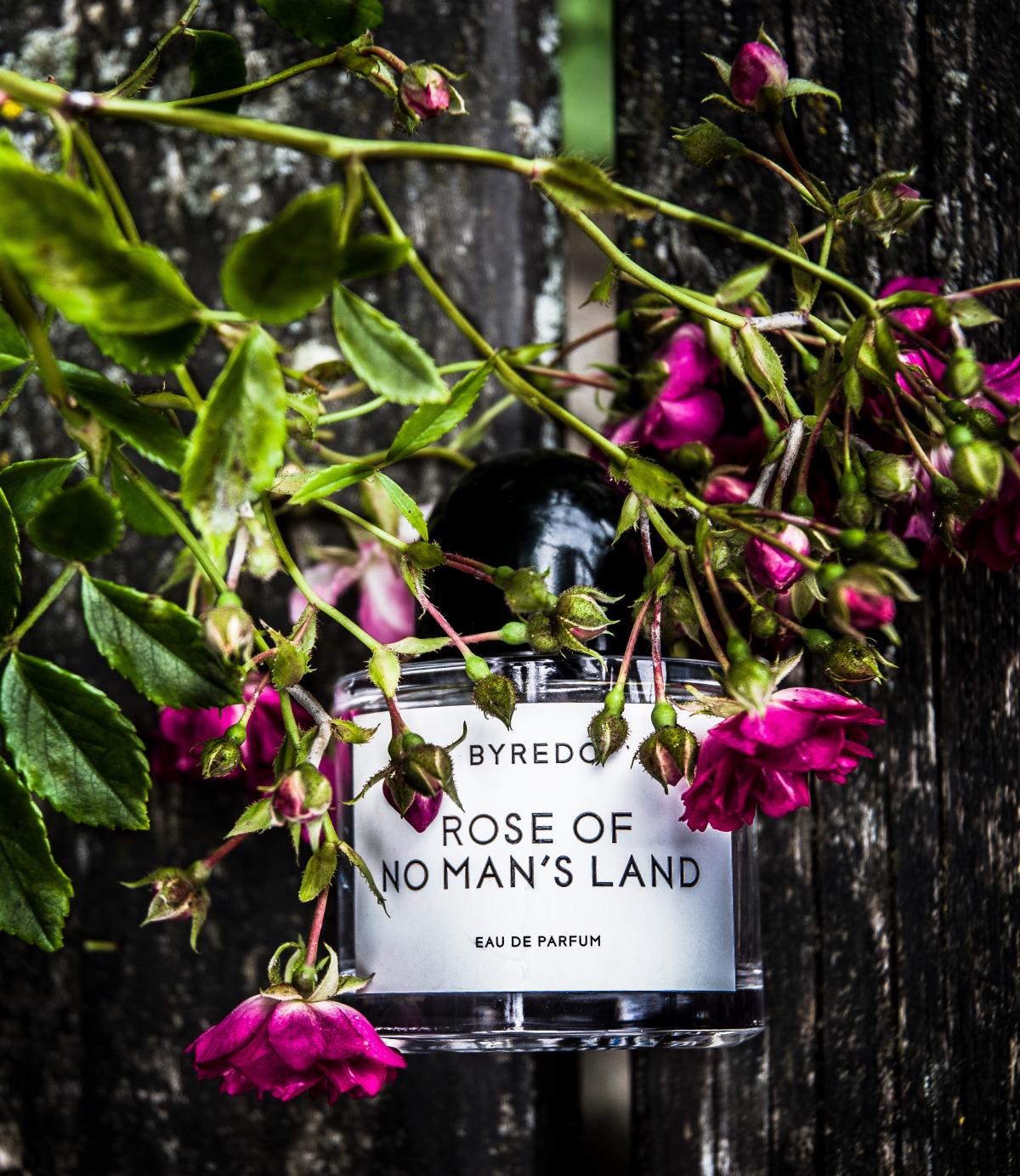 Rose Of No Man's Land Byredo аромат — аромат для мужчин и женщин 2015
