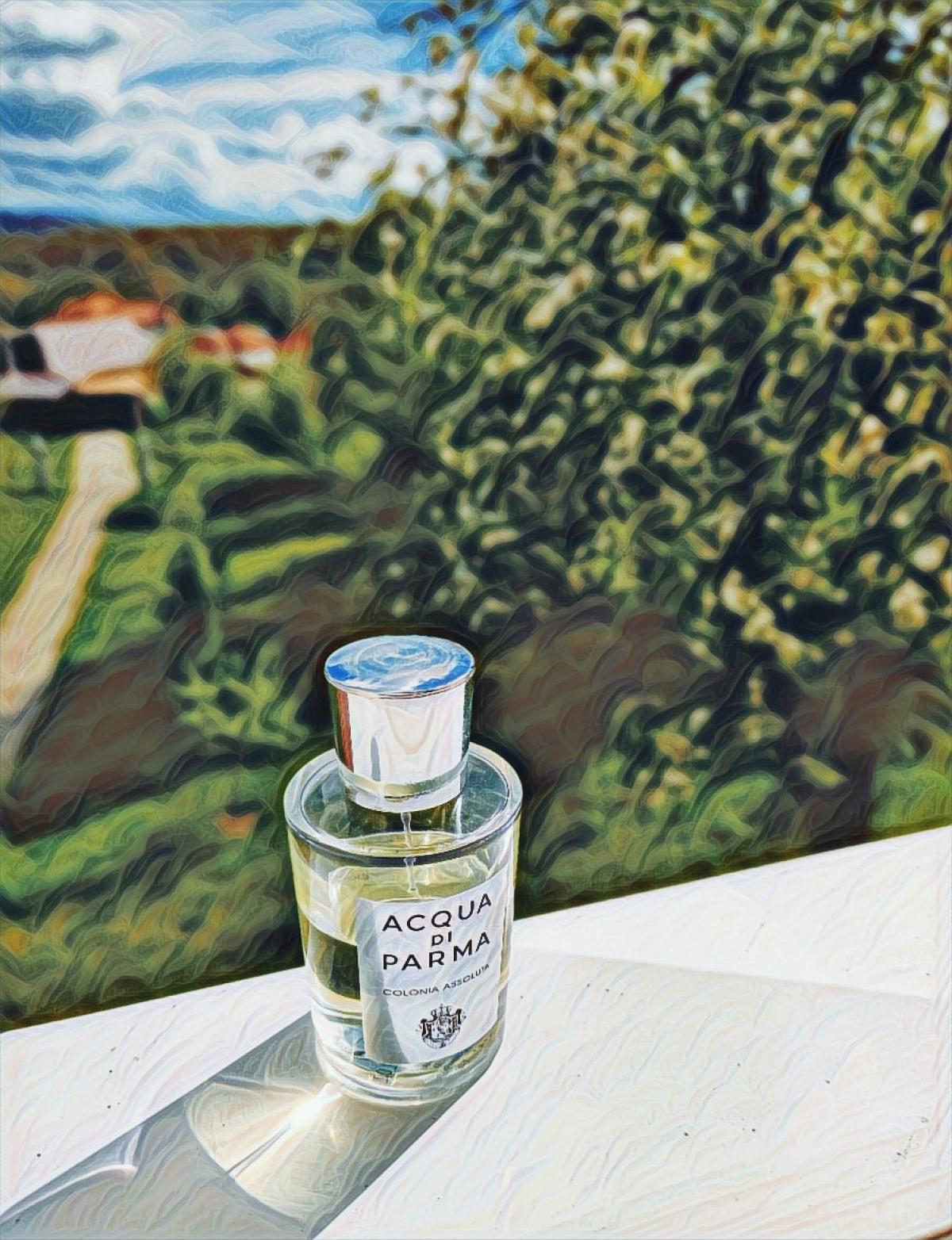 Acqua di Parma Colonia Assoluta Acqua di Parma Parfum - ein es Parfum ...