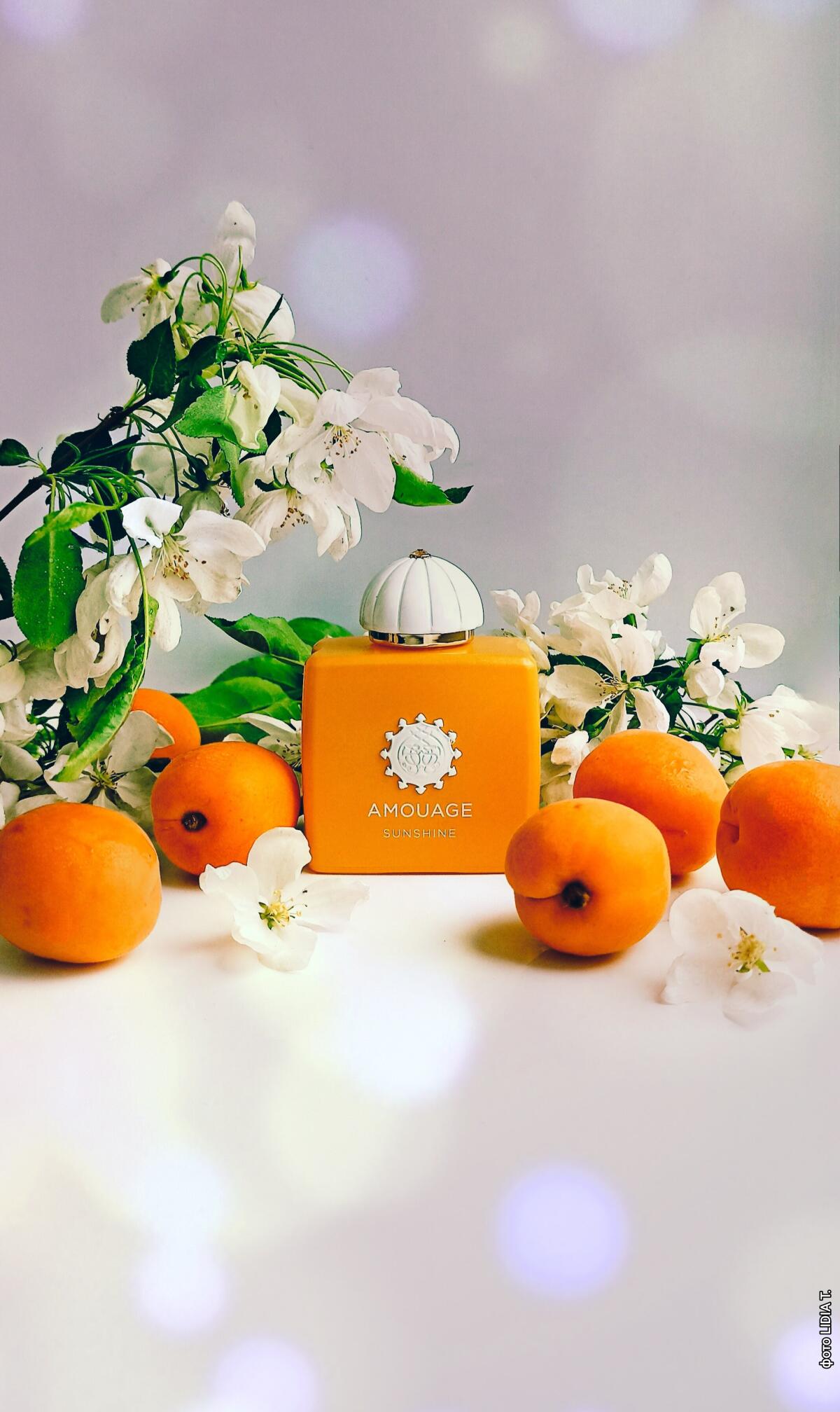 Sunshine Woman Amouage аромат — аромат для женщин 2014