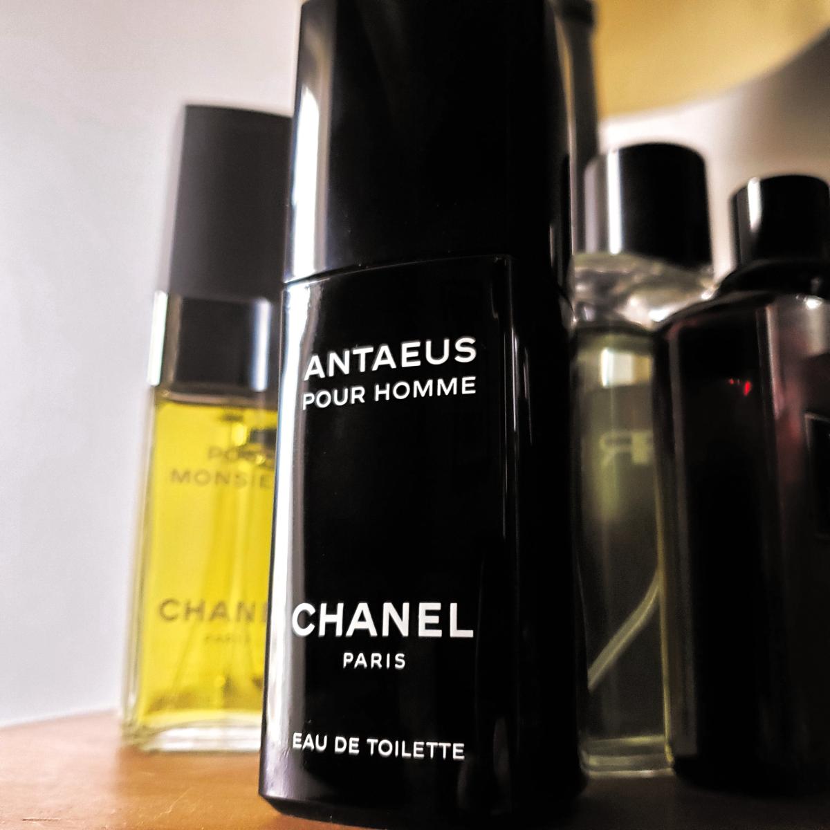 Antaeus Chanel cologne a fragrance for men 1981