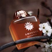 Overture Woman Amouage perfume a fragrance for women 2020