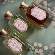 1905 Detaille perfume - a fragrance for women 1905