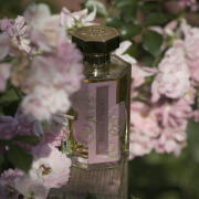 Rose Privée L'Artisan Parfumeur perfume - a fragrance for