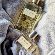 Photo by Terrible Terrier