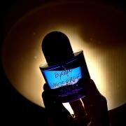 Photo by amsterdaman