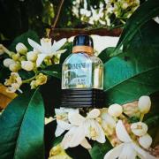 Photo by симонетта веспуччи