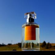 17 Nandan Road Ulrich Lang perfume - a fragrance for women
