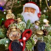 Photo by Линка-малинка