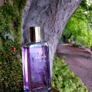 Aigner debut fragrantica hot sale