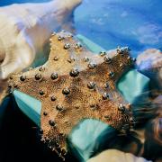 Photo by Кудеяр