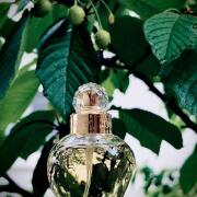 Photo by Маривиктори